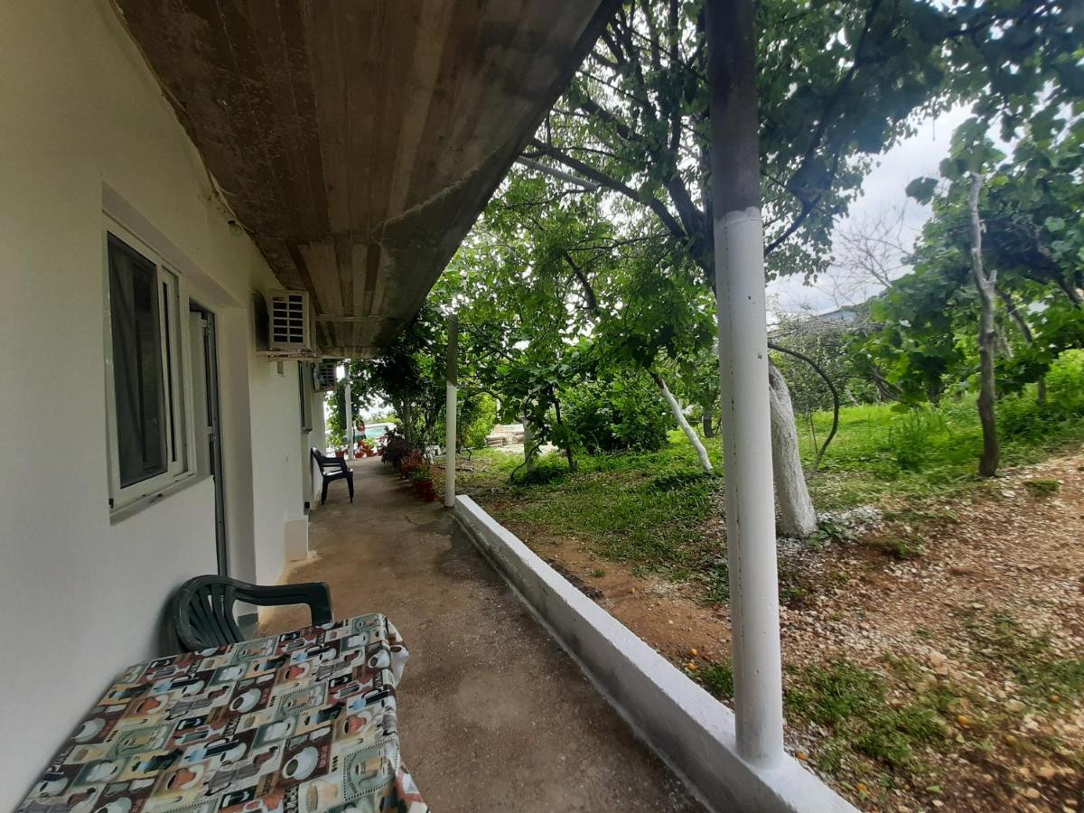 Hillside Apartments Borsh Ngoại thất bức ảnh