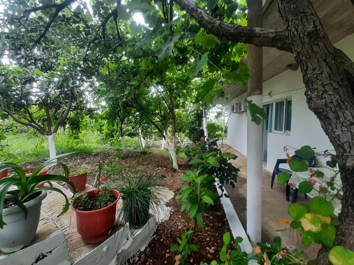 Hillside Apartments Borsh Ngoại thất bức ảnh